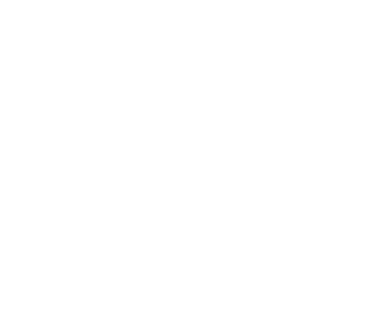 Invictus Pros